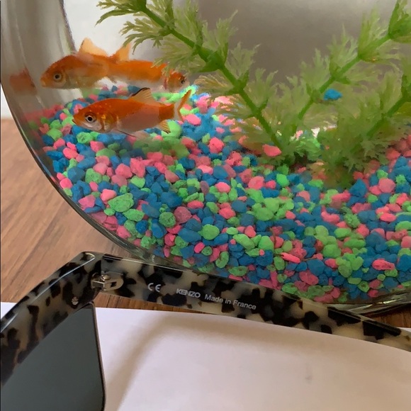 Women’s Kenzo Sunglasses - Picture 4 of 6